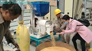 iron roller dehuller machine, corn degerminator, maize peeling machine, corn polishing machine