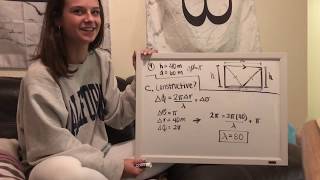Phys 271: Video Project 3