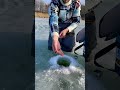 Зимова риболовля на чебенях)# #music #риболовля #рибалка #fishing #трофей#fishingwithmax#ice