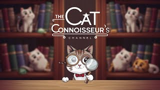 Welcome to The Cat Connoisseur's Channel: Your Ultimate Feline Destination! by The Cat Connoisseur's Channel 10 views 1 month ago 2 minutes, 2 seconds