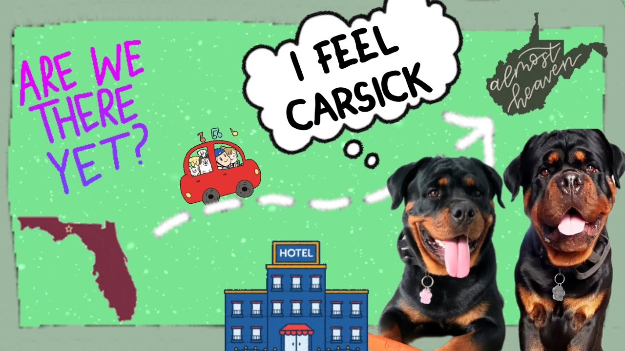 How To Keep Dog From Getting Carsick On A Long Roadtrip | Rottweiler Friendly Hotel