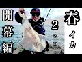 【エギングガイド】今年最初の2キロ越え!!ハイライトシーン2名様でおお越しで全員安打