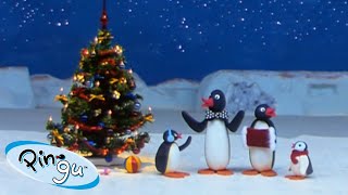 Pingu On Holiday Pingu - Official Channel Cartoons For Kids