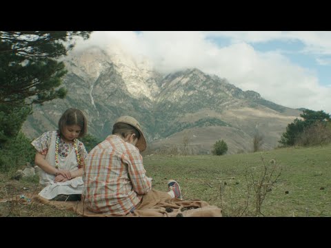 Фильм «Дерево» о девяностых на Кавказе (реж. Хава Мухиева, 2018)
