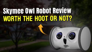 Skymee Owl Robot Review: Worth the Hoot or Not? 🦉💰 by PawsPalace 12 views 3 weeks ago 2 minutes, 25 seconds