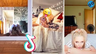 تیک تاک چالش باگز بانی Bugs Bunny Challenge New TikTok CompilationTik Tok