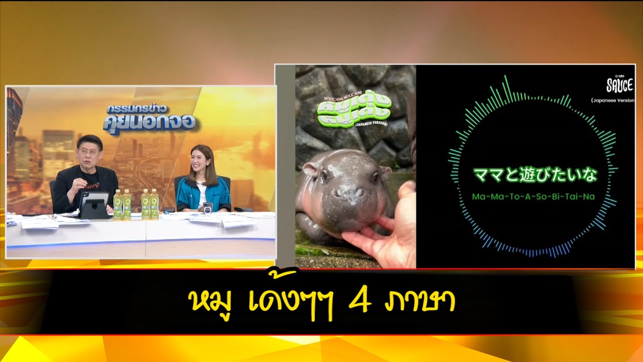 หมู เด้งๆๆ 4 ภาษา