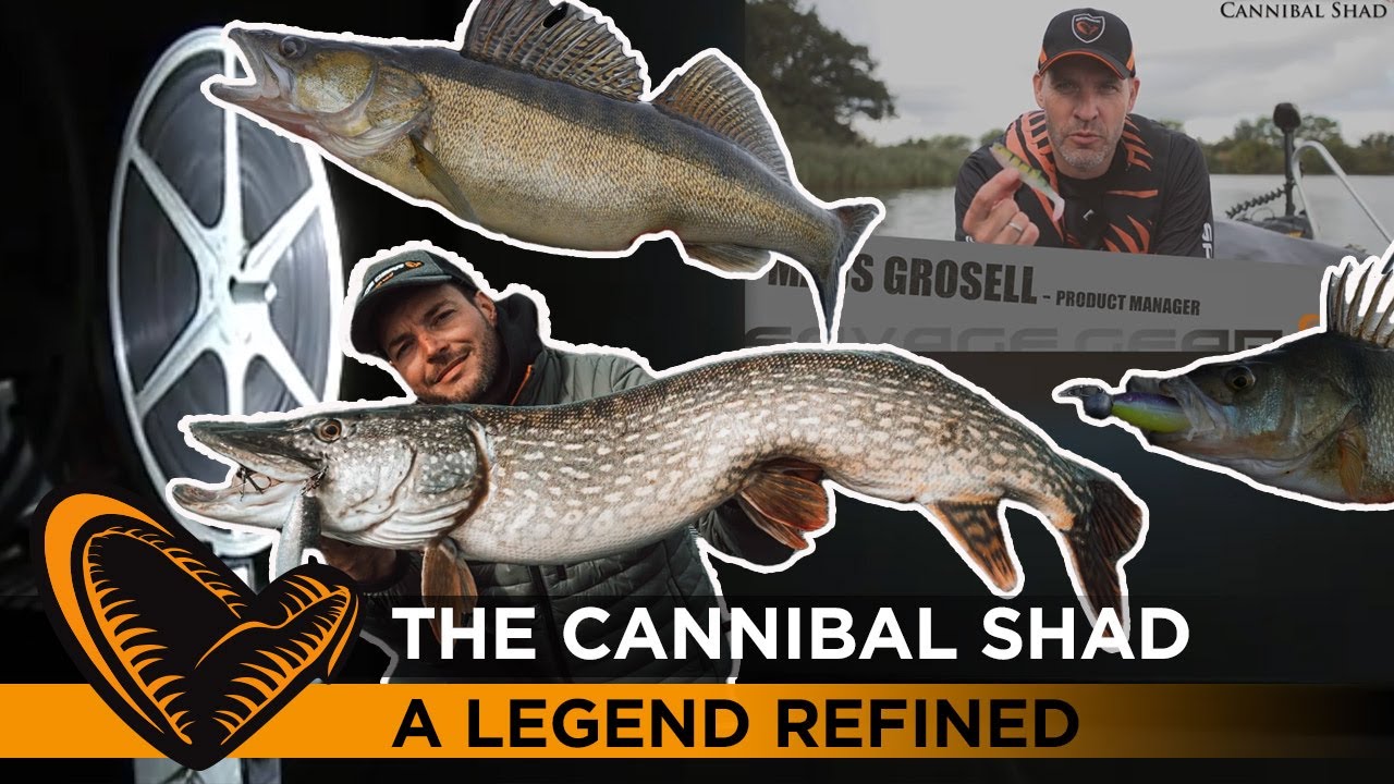 Cannibal Shad - The legendary softlure for Perch, Pike and Zander has been  upgraded and up-sized 