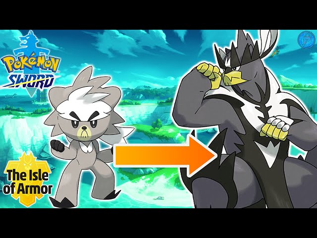 Pokémon Sword/Shield Isle of Armor guide: How to evolve Kubfu into Urshifu  - Polygon