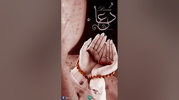 سورة ياسين #لايك #القران_الكريم #اكسبلور #الرحمن #تيك_توك