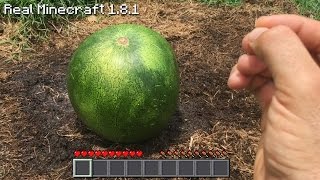 Real Life Minecraft - HOW TO FARM MELON