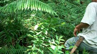 DSCF0105.AVI