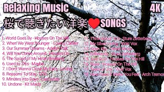 桜【桜で聴きたい洋楽 SONGS】心地よい洋楽｜洋楽 Playlist｜リラックスBGM｜自然の風景(4K)│Beautiful Relaxing Music 春日部 東京 tokyo