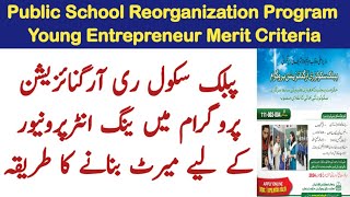 Young entrepreneur psrp pefsis merit evaluation calculation | public School Reorganization Program screenshot 3