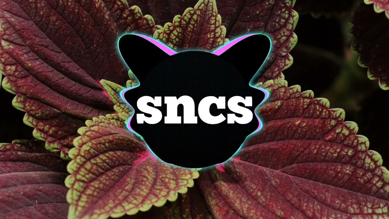 Pakshus - Rasajana - (sncs song) - no copyright music 