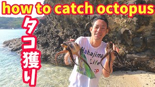 [Japonya] Dalgalı denizlerde ahtapot yakalamaya gidiyor