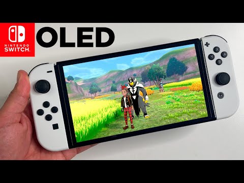 Pokemon Sword and Shield gameplay screenshot