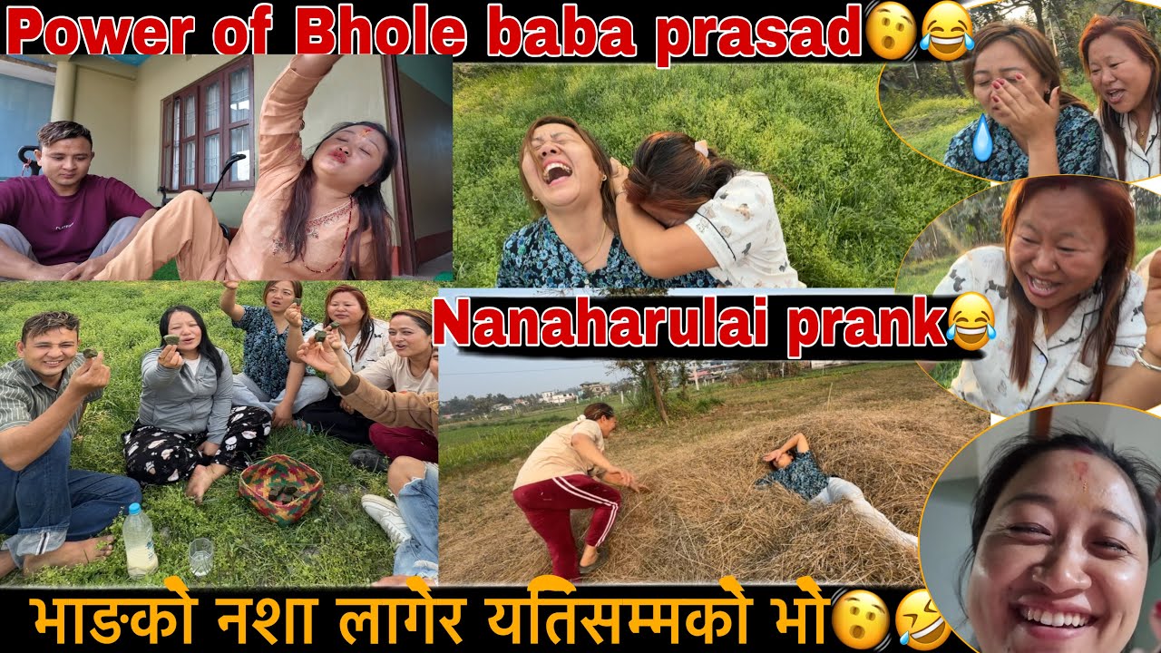 Shiva ratrima bhang khayara 2 din samma bihos nana haru haseko hasai ruko rui😂🤣