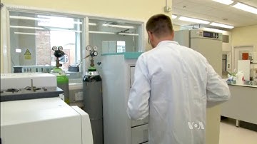 Scientists Search for Sustainable Solutions to Stop Fall Armyworm