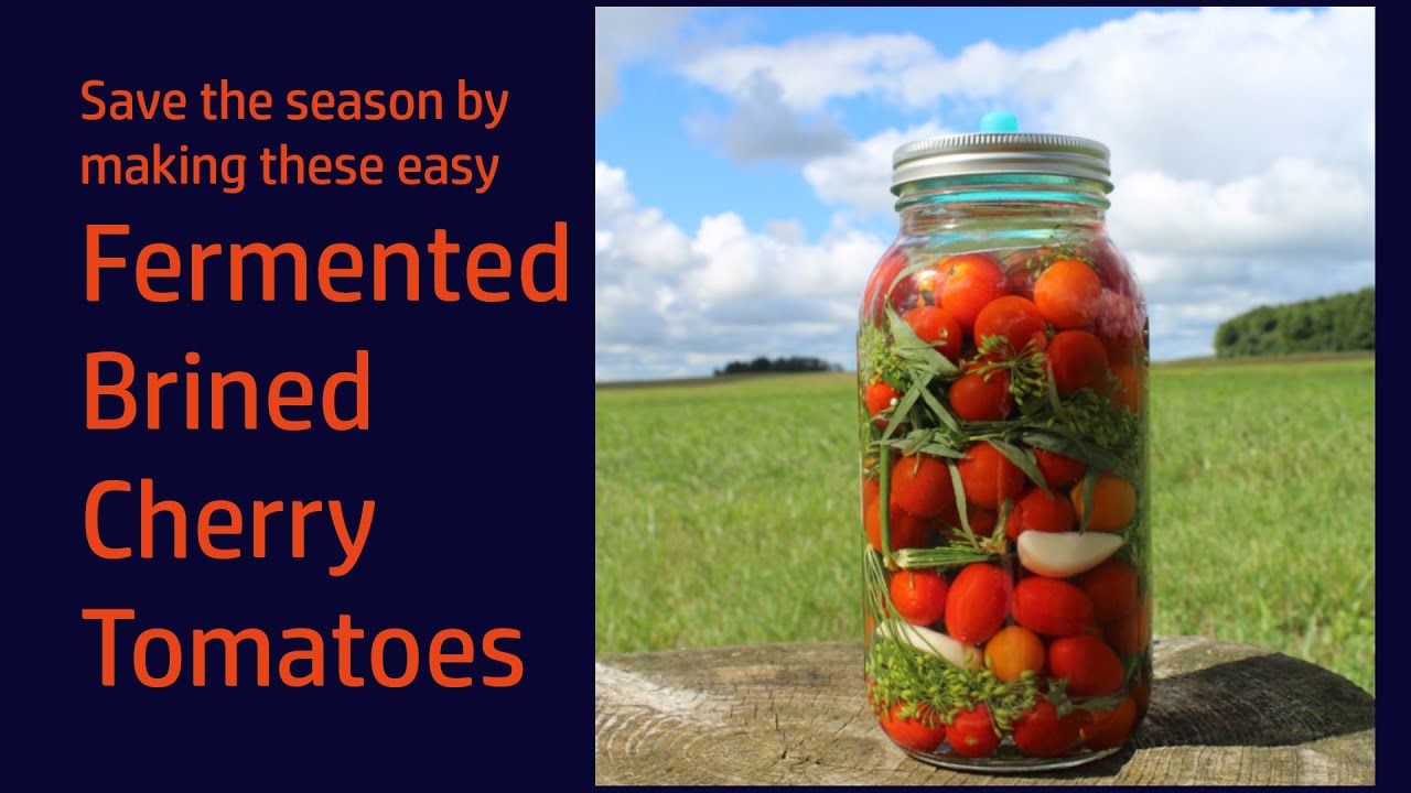 Fermented Brined Cherry Tomatoes | A way to preserve cherry tomatoes | Cherry Tomato Pickles