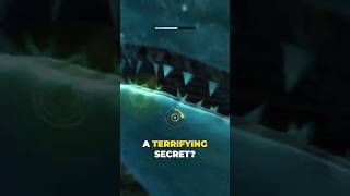Most Players Never Find This Black Flag Easter Egg