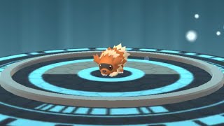 Shiny Zigzagoon Evolves Into Shiny Linoone