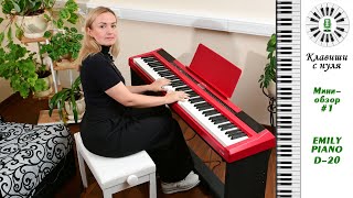 Клавиши с нуля - Мини обзор 1 -  EMILY PIANO D-20