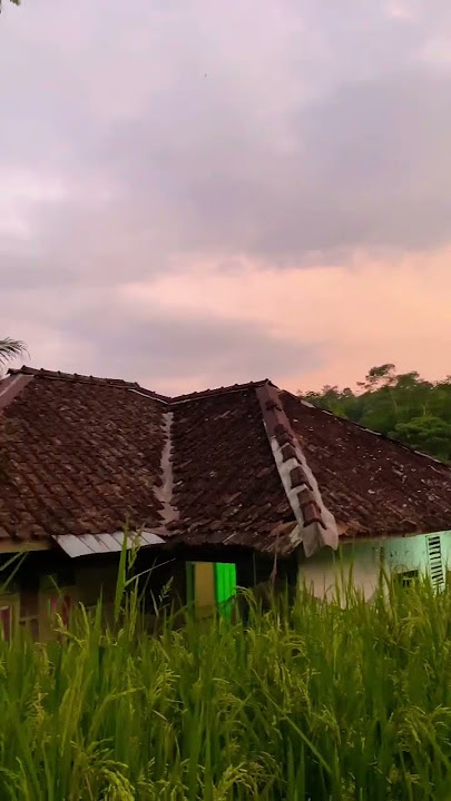 Waktu Magrib di Kampung Bikin Rindu Suasana Pedesaannya😊