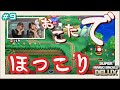 【ひなほの】#9 久しぶりのマリオ配信!with おこた【スーパーマリオブラザーズUデラックス】