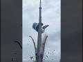 CN Tower COLLAPSES After Massive Explosion &mdash; Watch Before It&rsquo;s Deleted! #cntower #cntowertoronto