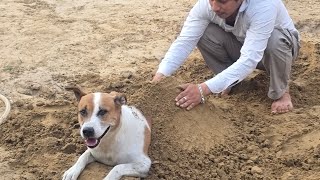 क्या Sandy मिट्टी में छुप सकता है? Amazing Experiment