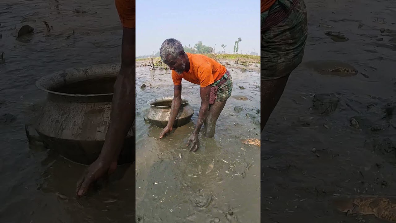 Amazing Dry Season Hand Fishing Video 
