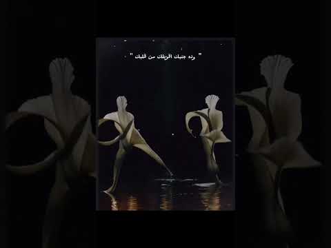 العمر بيفوت ويمر اصاله نصري اكسبلور اصالة نصري ستوريات تصميم فيديوه لايك اشتراك ترند شعر