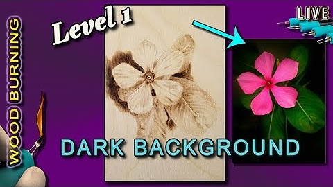 Pyrography (Level 1): Learn how to wood burn a Dark Background like a Pro in less than an hour!