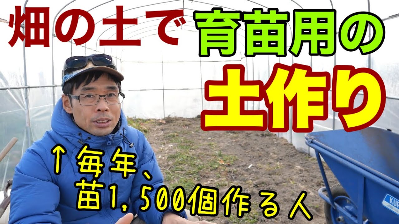 畑の土で夏野菜の育苗用培養土作り【無農薬栽培】2022年2月2日