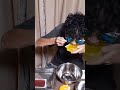 【早食いチャレンジ】今回は寒天ゼリー2㎏(3種類)の早食いチャレンジ!