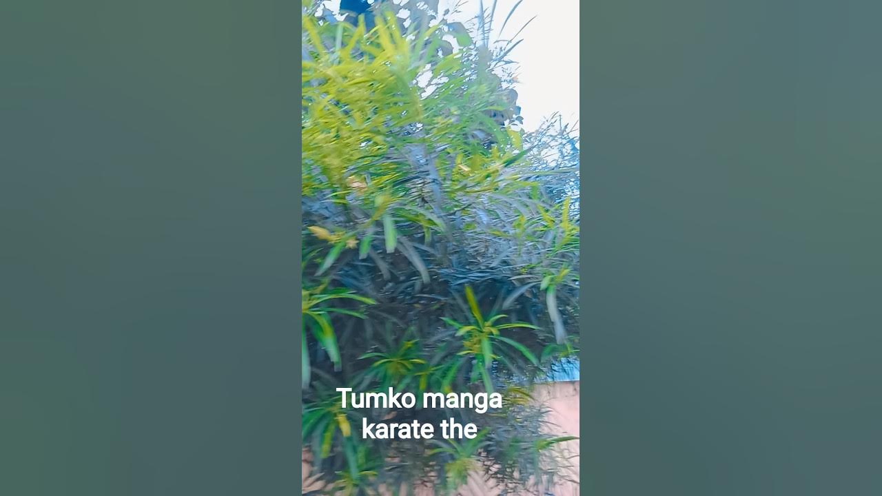 kay batalau janja ham tumse rahake aksar duwao ne khauda se #song #viral #video #hindi π kay batalau janja ham tumse rahake aksar duwao ne khauda se #song #viral #video #hindi π