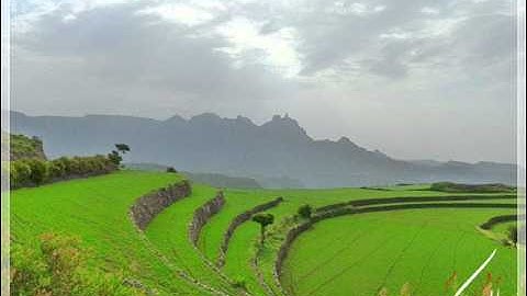 الشيخ محمد عبدالكريم الشيخ سورة Hud_هود