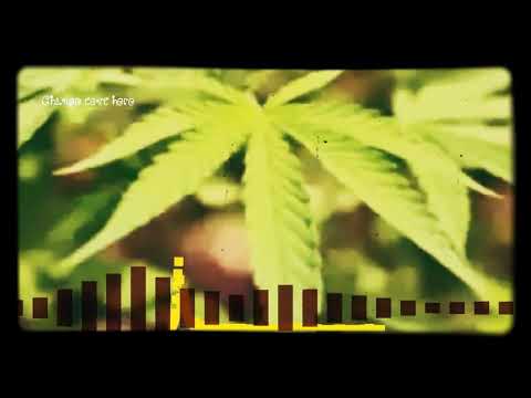 common kings license,to smoke