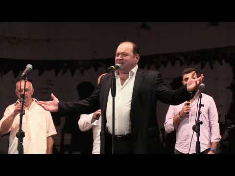 ჭაბუკა სურმანიძე.საქართველო გამარჯვება შენ.Chabuka Surmanidze. Sakartvelo gamarjveba shen.