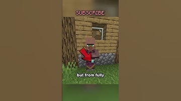 The Best Trades From Villagers