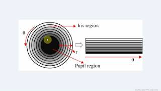 Iris Recognition - Part III