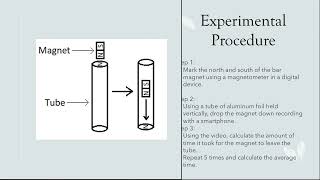 Physics 2212 Lab 5: Magnetic Braking With Faraday