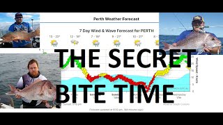 when is the best time to go fishing - how to understand peak bite times - lunar, tides, weather screenshot 5