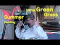 Lime Green Spots in Lawn | How to fix Light Green Spots | Summer Seeding?