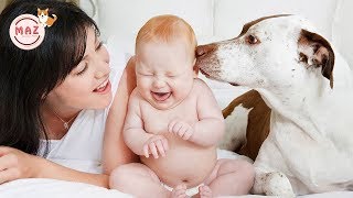 Cute baby playing with dogs and cats funny baby compilation 2019