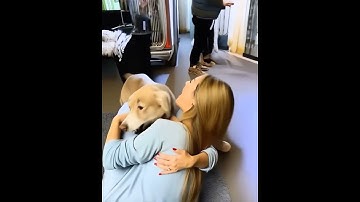 Thumbnail of The best couple So much love❤️ #dogvideos  #dogsmart #rottweilermoments  #dogcommunity