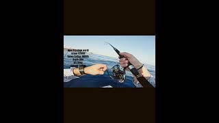 Apia Grandage world ocean 826mh #jigging #apia #mancing #ψαρεμα #jiggingrod #daiwa #saltiga #boat