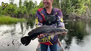 SAAT BANJIR DI HUTAN KALIMANTAN, IKAN JUGA IKUT BANJIR