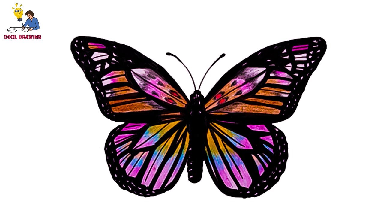 Butterfly Drawing step by step | How to draw butterfly | Butterfly ...